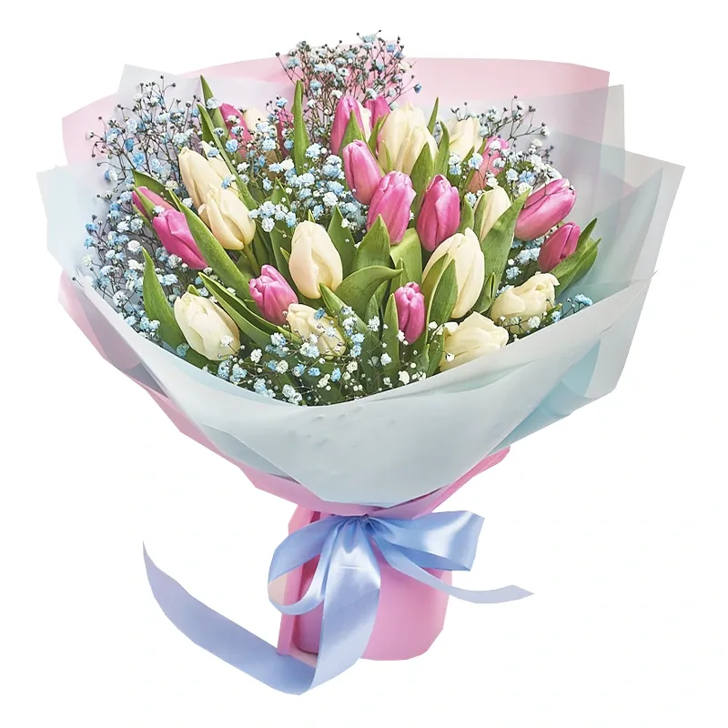 Букет из 35 тюльпанов и гипсофилы