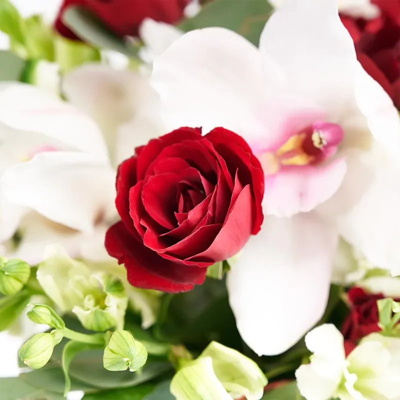 Цветы в коробке Грезы орфея