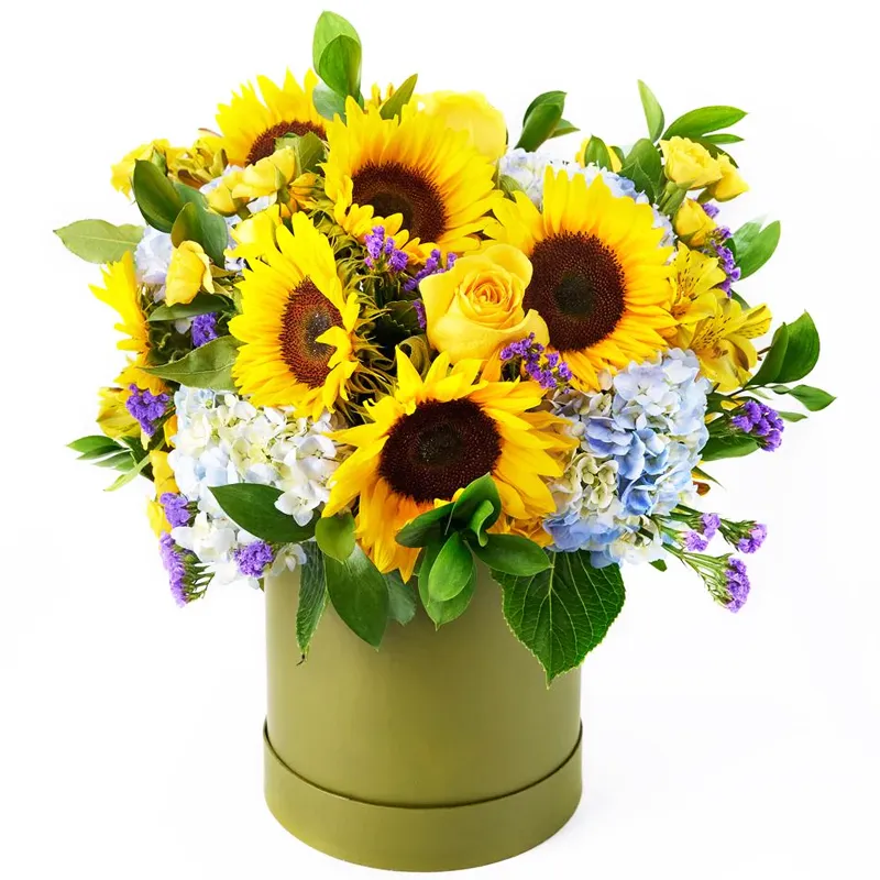 Цветы в коробке Над облаком