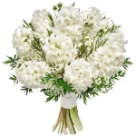 Гиацинты белые